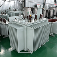 Transformateur de distribution immergé dans l'huile S13-M 10kV/400V, super économie d'énergie, tension d'entrée/sortie personnalisée