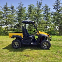 Électrique 4x4 72v Dune Buggy 2WD Transmission Automatique Quad Utv Farm Uts pour Adultes Certifié EEC