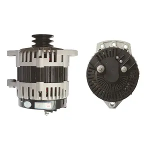 16 años de fábrica personalizada de alta potencia 5KV/8KV/10KV alternador de coche 24V DC 250A generador para camión/RV/Autobús