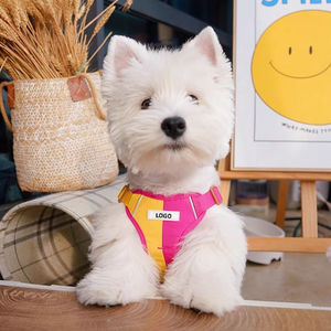 Arnés Reflectante Ajustable para Perro con Correa, Chaleco Colorido con Hebilla Marrón para Paseos al Aire Libre - Product Image 3