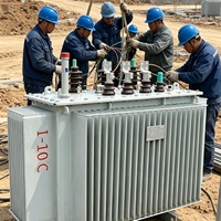 Transformador de Distribución Trifásico Sumergido en Aceite, 50 Hz, 10 KV, S22-M-30 ~ 4000KVA, Conexión Dyn11, Rango de Extracción 2x2.5%