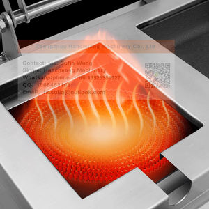 <span class=keywords><strong>Gyoza</strong></span>-freidora eléctrica automática de Japón, sartén para freír, freír y freír, máquina de cocina - Product Image 3