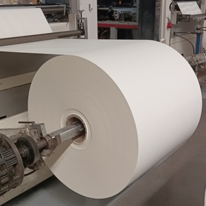 ม้วนกระดาษเคลือบ PE 150-320 แกรม สำหรับบรรจุภัณฑ์อาหารกันความชื้น - Product Image 2