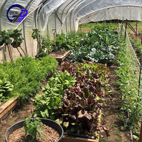 Serre tropicale de haute qualité Vente en ligne Serre agricole Tente Serres de jardin préfabriquées