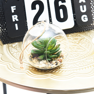 Appeso Globi di Vetro Terrario Sfere di Vetro Fioriera Grande Apertura di Aria Fern <span class=keywords><strong>Piante</strong></span> <span class=keywords><strong>Vaso</strong></span> di Fiori Artificiali di <span class=keywords><strong>piante</strong></span> <span class=keywords><strong>grasse</strong></span> - Product Image 6