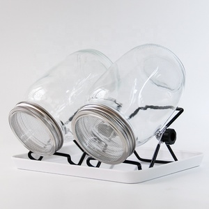 La germinazione della lattina <span class=keywords><strong>di</strong></span> muratore può germogliare il barattolo <span class=keywords><strong>di</strong></span> <span class=keywords><strong>vetro</strong></span> con staffa in acciaio inossidabile e coperchio <span class=keywords><strong>di</strong></span> germinazione a rete - Product Image 3