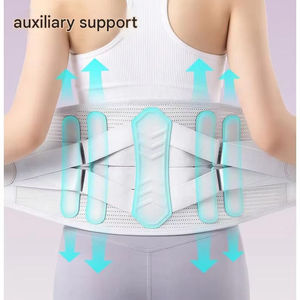 Ceinture de soutien lombaire respirante en maille, attelle ergonomique pour le bas du dos, soulagement des douleurs lombaires, pour le travail quotidien et les activités sportives - Product Image 1