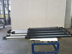 Cilindros hidráulicos de elevación de automóviles Cilindros hidráulicos de pistón Cilindros hidráulicos de tubo cruzado para elevador de carretilla elevadora - Product Image 2