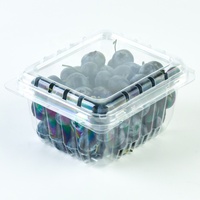 Conteneur en plastique PET transparent jetable de haute qualité pour fruits, boîte d'emballage pour fraises, raisins, bleuets