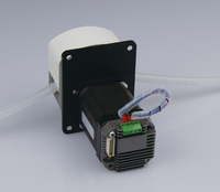 Dengsheng-pompe péristaltique industriel, avec moteur pas à pas, 12V/24V, DC