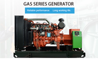 Groupe électrogène à gaz à économie d'énergie, unité de production d'électricité au biogaz pour l'alimentation en énergie des élevages porcins