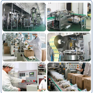 Poria Cocos en Polvo Puro de Raíz Seca Silvestre Superior para Bienestar Tradicional y <span class=keywords><strong>Uso</strong></span> como Materia Prima Comestible - Product Image 5