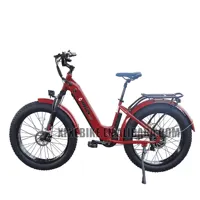 Nuovo Design passa attraverso E Bike Fat Tire Mountain Bike elettrica 750w 15Ah nascosta E-bike batteria bicicletta da strada