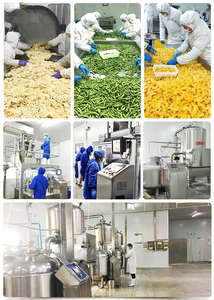 Snack di Frutta e Verdura, 12 Tipi di Snack Misti di Frutta e Verdura all'Ingrosso, Prodotto Vegetariano - Product Image 6