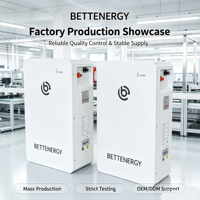 Batterie solaire domestique LiFePO4 5KWh 51.2V 100Ah, système de stockage d'énergie basse tension avec 6000 cycles pour les ménages