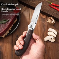 Couteau pliant d'extérieur SBO ZD02, lame 3Cr13 polie miroir, manche en bois de aile de poulet, pour fruits, camping, portable, de poche, 23 cm, garantie 1 an