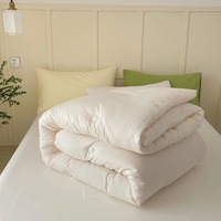 Ensemble de housse de couette en polyester de couleur unie, couette en soie, sac rose vert, ensemble de literie, coton, tencel, bambou, polyester, vente en gros