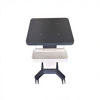 Chariot de spa en acier inoxydable avec roulettes, chariot de rangement roulant portable pour salon de beauté, adapté aux coiffeurs et aux esthéticiennes