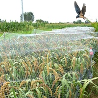Nieuwe aanwinst fabrieksprijs zware kwaliteit draagbare HDPE opvouwbare anti-vogelnet voor rijstvelden anti-vogelnet