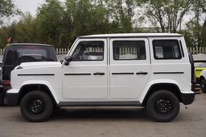 Vehículo Eléctrico Compacto en Oferta, Auto Eléctrico de 4 Ruedas, Mini Automóvil de Nueva Energía, Autonomía de 101-200 km, Batería de 30 kWh - Product Image 3