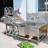 Volautomatische Plantaardige Verwerkingsapparatuur Met Bubbelreiniging