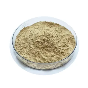 Ginsenoside Powder Suppliers 80% Ginsenoside 20 s rg1 rg2 rg3 98% Ginsenoside rh2 rb1 re