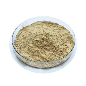 Ginsenoside Powder Suppliers 80% Ginsenoside 20 s rg1 rg2 rg3 98% Ginsenoside rh2 rb1 re