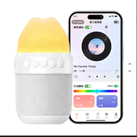 Masseur vibrant portable avec haut-parleur, driver 52 mm, autonomie de 10 heures, corps en ABS+PC+silicone, pour la maison, les voyages, cadeau