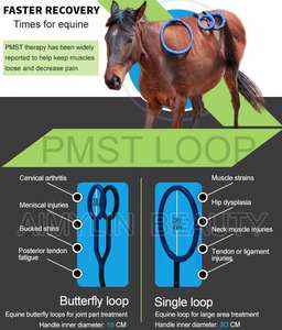 Nuevas Ideas de Negocios 2026: Manta PEMF para Caballos - Product Image 3