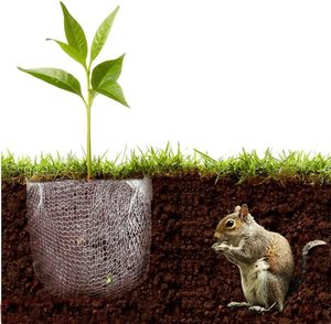 Rouleau de treillis métallique tissé en acier inoxydable pour le contrôle des nuisibles, des rongeurs, des insectes, des souris, des chauves-souris et des oiseaux, pour jardin et maison - Product Image 5