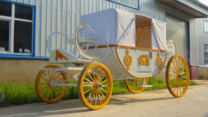 Trouvez une calèche électrique similaire à une calèche royale de mariage pour la vente, idéale pour les visites touristiques et les transports spéciaux - Product Image 5