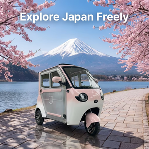 Mini scooter électrique à faible vitesse 60V fabriqué en Chine, tricycle électrique de loisirs fermé pour usage domestique, caméra de recul - Product Image 2