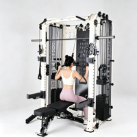 Machine de musculation multifonctionnelle en acier inoxydable robuste, barre Smith, entraîneur fonctionnel, 100 kg, double colonne de poids, qualité commerciale, exercice complet du corps