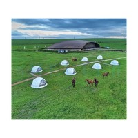 Tente de domo imperméable de luxe du Japon tente de dôme géodésique d'igloo de serrage de cadre en acier d'hôtel de maison