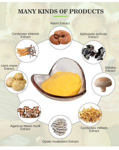 Органический комплекс грибов, порошок, Львиная Грива, кордицепс, <span class=keywords><strong>Ganoderma</strong></span> Lucidum Chaga Extract - Product Image 5