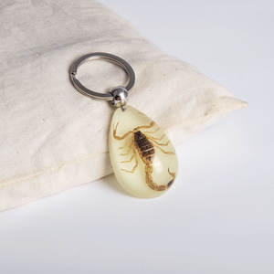 고투명 레진 봉입 자연 곤충 드롭 야광 키체인 펜던트 소스 강도 프로모션 카라비너 키링 - Product Image 2