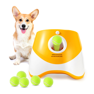 Electronic Tennis Trainer Toy: Boost Skills with Fun Practice