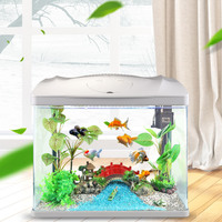 Nouvel arrivage de petits aquariums en verre léger à Led pour les décorations intérieures de la maison