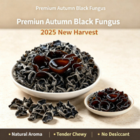 Champignons noirs sauvages d'automne de qualité supérieure 500g, champignons d'oreille de bois séchés naturels, sans additifs, ingrédient sain pour tous
