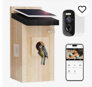 Fotocamera per Nidi di Uccelli in Legno Ecologica per Uso Esterno - Product Image 2