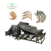 Industriële machine voor het kalibreren, sorteren en wassen van vis, fruit en groenten (garnalen, sardines etc.) - SUS304