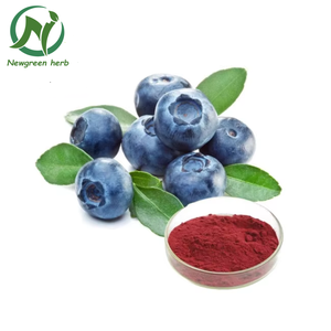 Bubuk Ekstrak <span class=keywords><strong>Bilberry</strong></span> Murni Organik Alami Cina Grosir Newgreen - Product Image 1