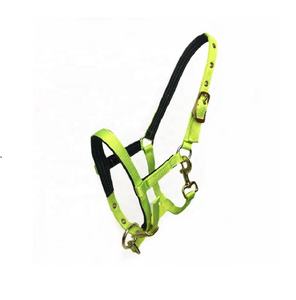 Precioso collar de cristal suave para caballo, halter de nailon, collar acolchado ajustable, equipo ecuestre para caballos. - Product Image 1