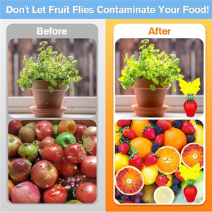 Trampas Adhesivas para Moscas de Doble Cara OEM/ODM, Atrapa Insectos Impermeable con Forma Especial para Uso en Exteriores, Control de Plagas de Mosquitos y Escarabajos - Product Image 6