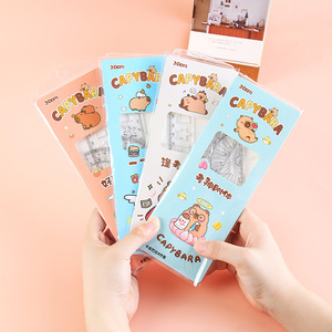 Ensemble de règles Capybara 20 cm en plastique, 4 pièces, pour étudiants et artistes - Product Image 2