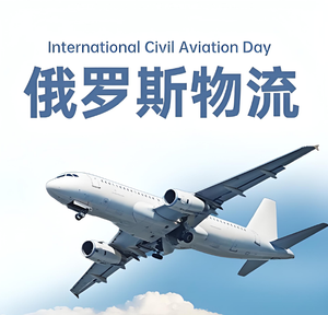 บริการขนส่งทางอากาศไปยังเซี่ยงไฮ้เปเทอร์สเบิร์กสำหรับการขนส่งสินค้าอิเล็กทรอนิกส์ทั่วไปและส่งเอกสารด่วน - Product Image 5