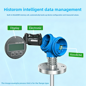 Capteur de niveau radar à ondes guidées E+H série FMP, résistant à la corrosion, pour la mesure de boues, authentique, fabriqué en Chine - Product Image 3