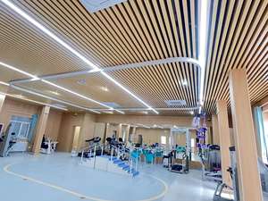 Lève-personne électrique à fixation au plafond Sky Track 300 pour aider les patients hémiplégiques dans la rééducation à la marche - Product Image 6