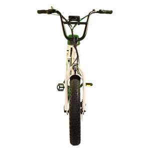 RaiderRover-40F double batterie 20 pouces <span class=keywords><strong>750W</strong></span> vtt vélo électrique hybride vélo électrique à gros pneus pour adultes - Product Image 4