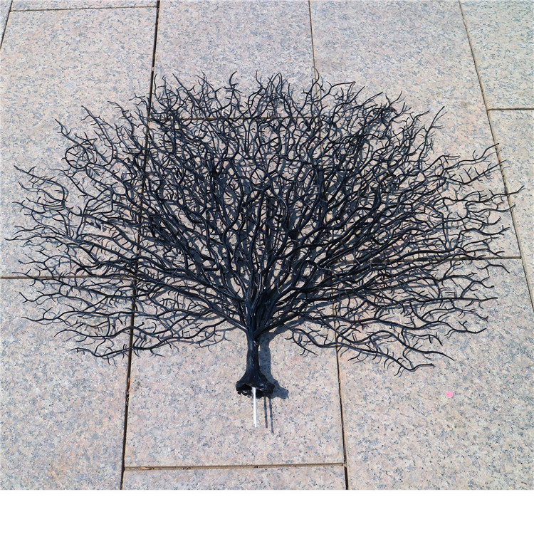 Double  Black  Coral branches